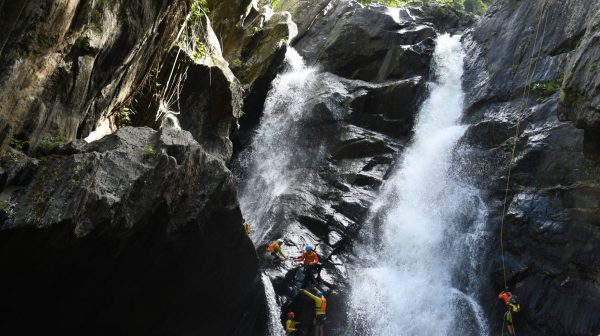 Cairns Waterfalls Rainforest Experience