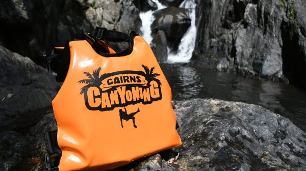 Cairns Waterfalls Rainforest Experience