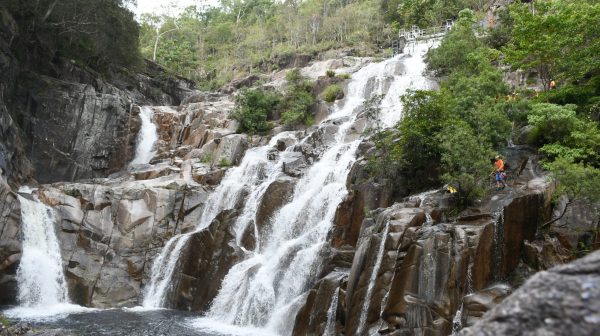 Cairns Waterfalls Rainforest Experience