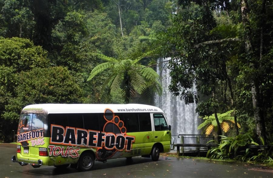 Explorer Tour – Waterfalls & Rainforest Sightseeing