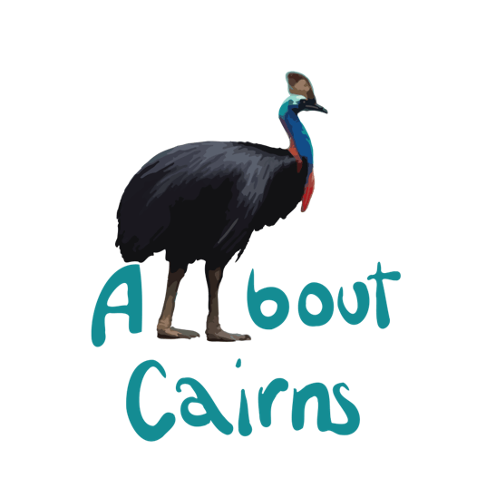 Misc – LOGO Allbout Cairns a close up of a bird
