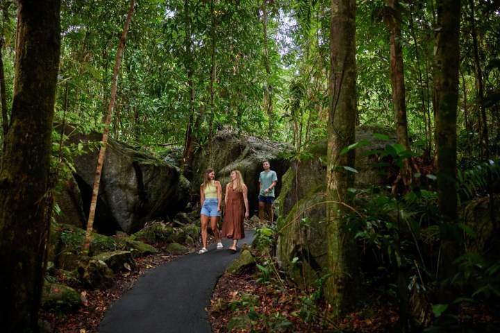 a group of people in a forest